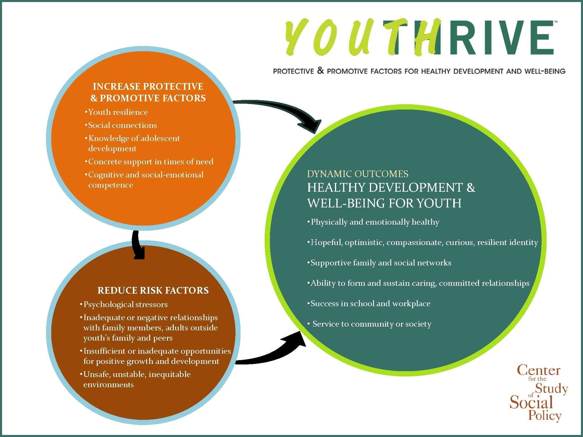 middle school cognitive development